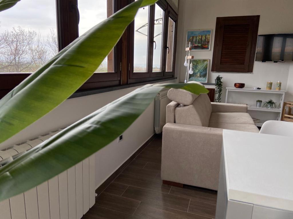 Villa Rosella Appartamento 2 - Con Piscina - 150 M Dal Mare Casa Margherita 외부 사진
